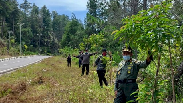 ‘Hijaukan’ Toraja, 5 Ribu Pohon Ditanam di Jalan Masuk Bandara Buntu Kunik