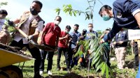 Bentuk Penanganan Banjir Jangka Panjang, Pemkab Ajak Ormas Tanam Pohon