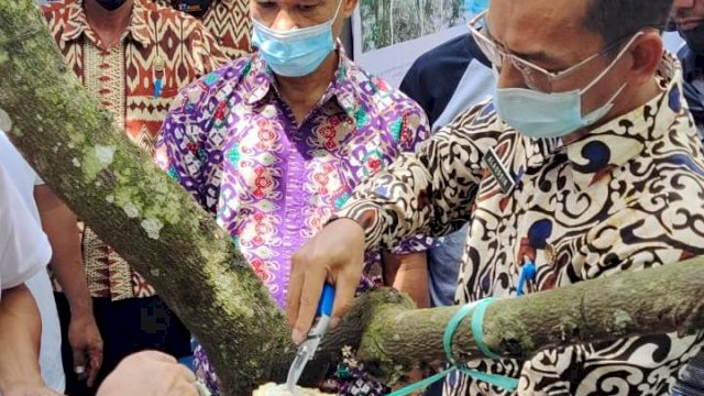 Hari Lapang Tani, Petani Kakao Unjuk Keberhasilan Pengendalian PBK Ramah Lingkungan