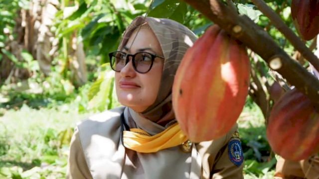 Luwu Utara Sumbang 21,13 Persen Produksi Kakao Untuk Indonesia