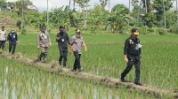 Berjalan di Pematang Sawah untuk Meninjau Irigasi Perpipaan di Jeneponto, Mentan SYL: Petani Tak Boleh Miskin Lagi