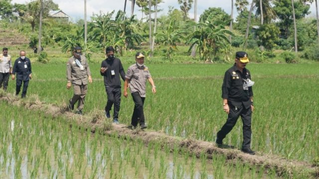 Tampak Mentan SYL berjalan di atas pematang sawah disusul Bupati Jeneponto, Sabtu (8/1). [Foto: Humas Pemkab Jeneponto]