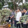 Andi Utta: Jika Ada Panrita Lopi, Maka di Bulukumba Juga Panrita Bonsai