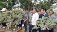 Andi Utta: Jika Ada Panrita Lopi, Maka di Bulukumba Juga Panrita Bonsai