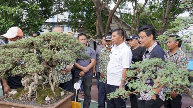 Andi Utta: Jika Ada Panrita Lopi, Maka di Bulukumba Juga Panrita Bonsai