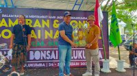 Ditutup! Makassar Peraih Juara Umum Daerah dalam Pameran Bonsai di Bulukumba