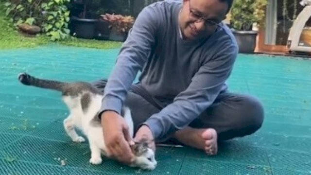 Anies Baswedan sedang bersama kucing peliharaannya, Sabtu (8/1). Instagram/AniesBaswedan