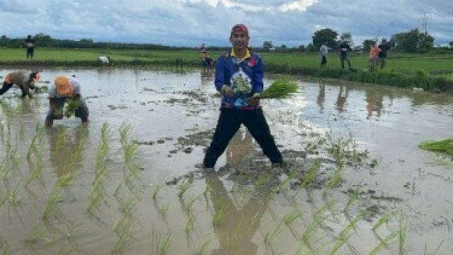 Terlihat Rudianto Lallo berbaur dengan masyarakat dan bersama-sama menanam padi di Kelurahan Lakkang, Kecamatan Tallo, Kota Makassar, Minggu (9/1). 