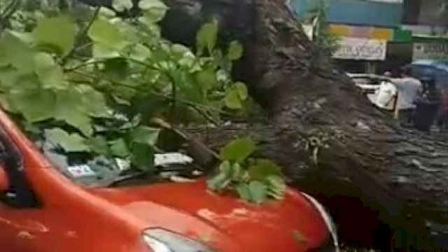 Pohon tumbang mengenai sebuah mobil warna merah di depan RS Labuang Baji, Makassar, Rabu (19/1).