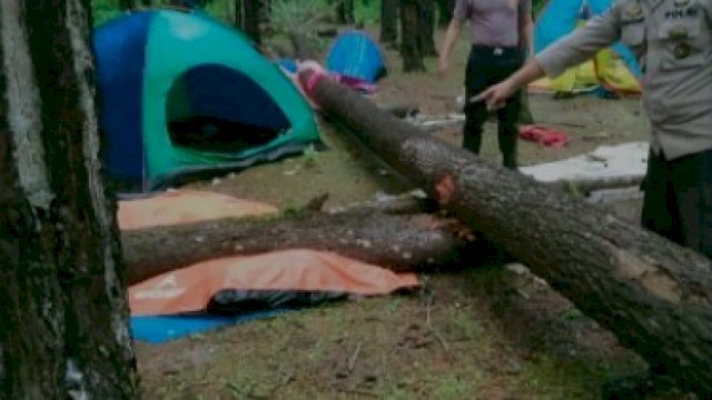 Pohon menimpa tenda rombongan Paskibraka asal Makassar di Maros, Sulsel. Minggu (29/1). (*)