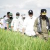 Tantang Kapolres Bulukumba Tangkap Distributor Pupuk ‘Nakal’, Mentan: Saya Mau Anda Punya Prestasi yang Jempol Kapolri