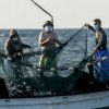 Kini Nelayan dari Sulsel Bisa Menangkap Ikan di Perairan Maluku