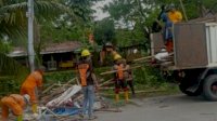 Lapak PKL yang Kuasai Lahan PDAM di Sepanjang Tepi Kanal Abdesir Dibongkar