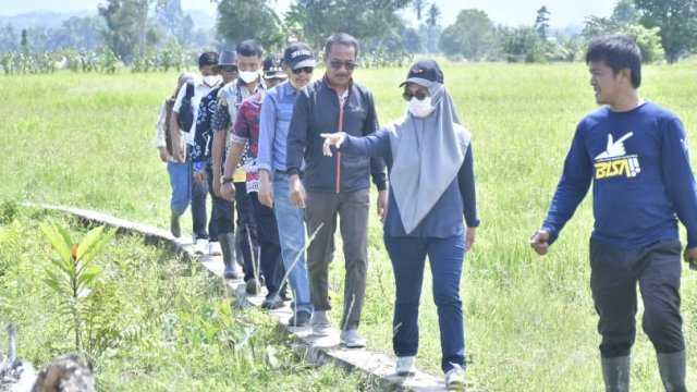 Bersama Warga, Pemda Rehab Lahan Pertanian Terdampak Banjir Di Desa Radda