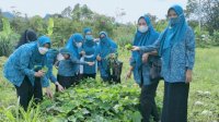 Dipusatkan di Kepulauan Selayar, Jambore PKK Sulsel Bakal Dihadiri 1.500 Peserta