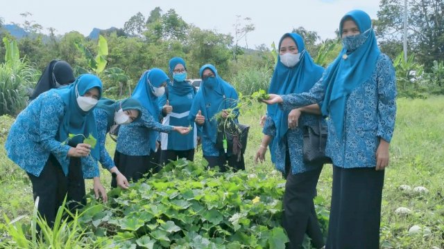Keseruan dan keceriaan mewarnai aktivitas para ibu yang tergabung dalam organisasi Tim Penggerak PKK Kabupaten Luwu Utara di Desa Lantang Tallang Kecamatan Masamba, Jumat pagi (18/3/2022).