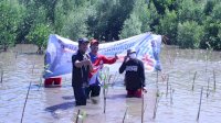 Menuju Puncak Milad SMA 6 dan IKA, Rudianto Lallo Awali Penanaman 400 Mangrove di Desa Wisata Untia