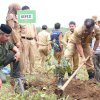Andi Utta Bikin Kebun Percontohan Bibit Unggul di Tibona