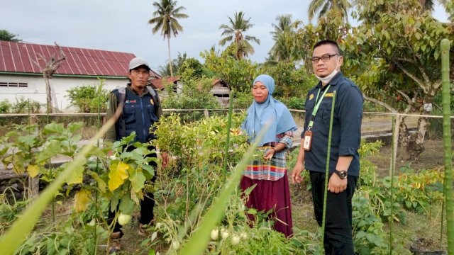Maksimalkan Program READSI, Kementan Fokus SL Pemanfaatan Lahan Pekarangan di Luwu Utara