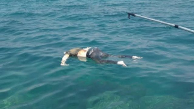 Mayat Mengapung di Laut, Gegerkan Warga Pulau Lae-Lae
