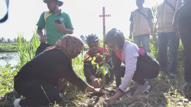 peringati Hari Lingkungan Sedunia, Pemda Lutra Tanak 200 Pohon di Bantaran Sungai Baliase