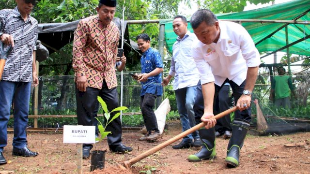 Bagikan Bibit Unggul, Andi Utta Harap Bulukumba Jadi Penghasil Jambu Mente Kualitas Ekspor