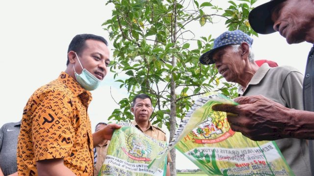 &rsquo;Mandiri Benih&rsquo; Diinisiasi Gubernur ASS, Petani Bulukumba: Kualitasnya Bagus, Benih Mulai Tumbuh
