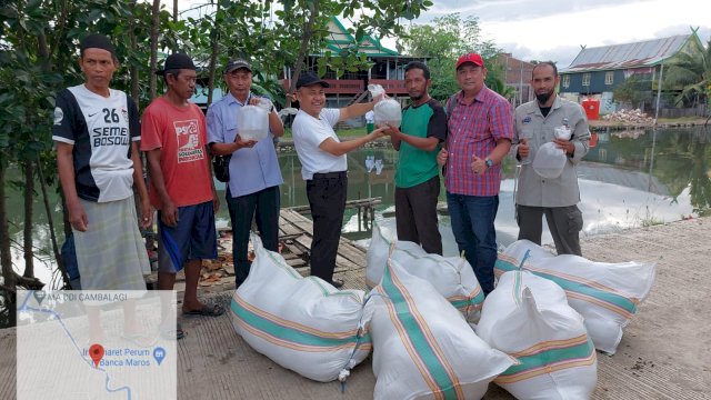 Salurkan Bantuan Benur Udang di Maros,   Andi Sudirman: Mari Kembalikan Kejayaan Udang Sitto