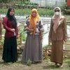 8 Kelompok Wanita Tani di Sinjai Dapat Bantuan Pekarangan Pangan Lestari