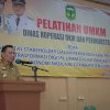 Guna Peningkatan Ekonomi, DKUP Luwu Gelar Pelatihan bagi Pelaku UMKM