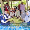 Bantuan Mandiri Benih Mulai Panen di Bone, Hasilnya Berkisar 8 Hingga 10 Ton Per Hektar
