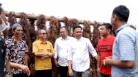BPBAP Canangkan Lamalaka Sebagai Kebun Bibit Rumput Laut