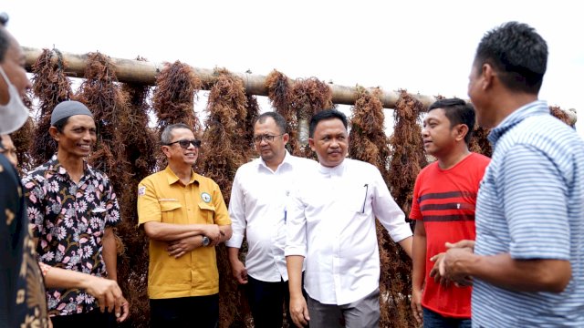 Balai Perikanan Budidaya Air Payau (BPBAP) Takalar, Dirjen Perikanan Budidaya, menjadikan Bantaeng sebagai kampung perikanan yang memiliki Kebun Bibit Rumput Laut (KBRL). 