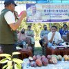 Dua Kecamatan di Bantaeng Berpotensi Produksi 3,2 ton Kakao per Bulan