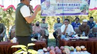 Dua Kecamatan di Bantaeng Berpotensi Produksi 3,2 ton Kakao per Bulan