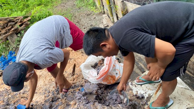 Ketersediaan pakan ikan atau makanan ikan merupakan hal terpenting dalam menunjang kegiatan budidaya perikanan.