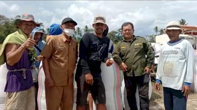 Dari 7 Ton Meningkat Mencapai 9 Ton, Bantuan Mandiri Benih oleh Gubernur Sulsel Tingkatkan Hasil Pertanian di Sidrap