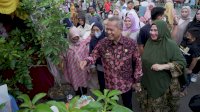 Bupati Luwu Apresiasi Pemanfaatan Kompor Listrik diajang Pekan UMKM
