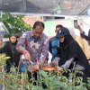 Kunjungi Longwis Haderslave Kelurahan Maloku, Danny Pomanto Panen Tomat dan Pakcoy