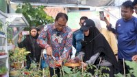 Kunjungi Longwis Haderslave Kelurahan Maloku, Danny Pomanto Panen Tomat dan Pakcoy