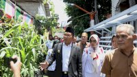 Danny Pomanto Himbau Warga Manfaatkan Lahan Kosong Untuk Bercocok Tanam