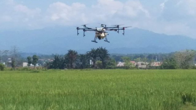 Kreatif dan Inovatif, PPL Luwu Utara Ini Gunakan Drone untuk Pemupukan Padi