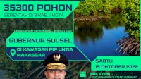 Besok, Gubernur Andi Sudirman Pimpin Penanaman 35.300 Pohon Mangrove