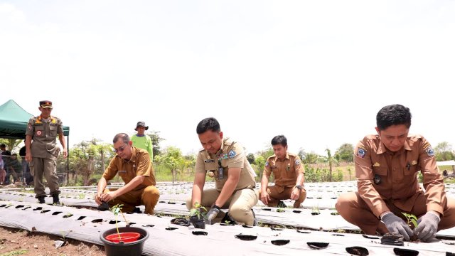 Bupoati Bantaeng Ilham Azikin