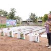 Ikut Bantu Tekan Inflasi, 40 Hektare Lahan Perkebunan Bantaeng Tersentuh Bantuan Pemerintah