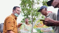 2022, BPS: Produksi Padi Sulsel Naik Jadi 5.431.021 Ton, Imran Jausi Sebut Dipicu Benih Mandiri
