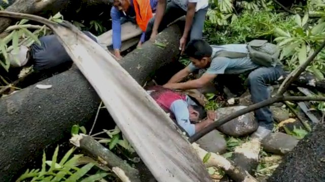 Pohon Tumbang di PN Makassar Timpah Warga