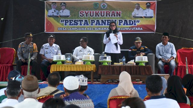 Bupati Luwu Utara, Indah Putri Indriani (IDP) menghadiri pesta panen masyarakat Desa Lampuawa Kecamatan Sukamaju, Rabu (16/11/2022).