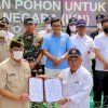 PPAD Sumbang Ratusan Ribu Bibit Tanaman untuk IKN