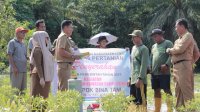 Tangani Inflasi, Pemkab Luwu Serahkan Bantuan Bibit Cabai Dan Itik Ke Petani